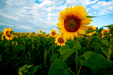 Similar image 1187834