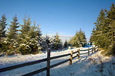 Similar image 1187838