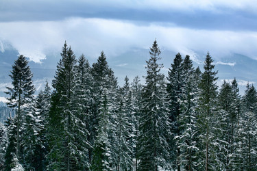 Similar image 1187844