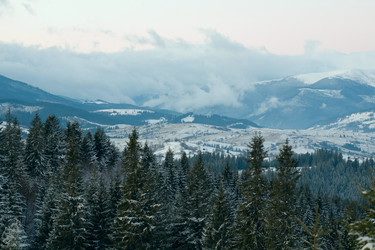 Similar image 1187849