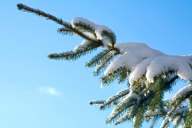 Similar image 1187850