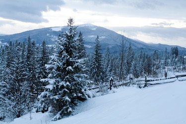 Similar image 1187862