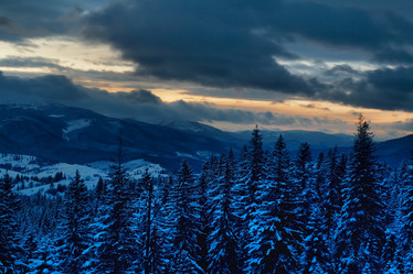 Similar image 1187864