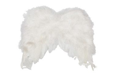 Similar image 1187873