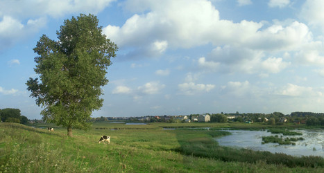 Similar image 1187921