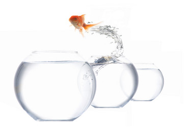 Similar image 1187923