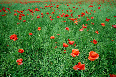 Similar image 1187949