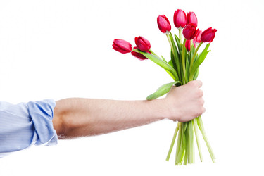 Similar image 1187950