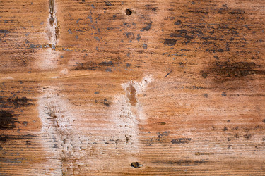 Similar image 1187965