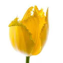 Similar image 1187983