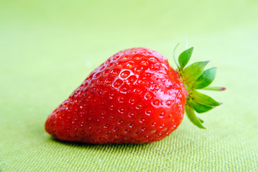 Similar image 1187991