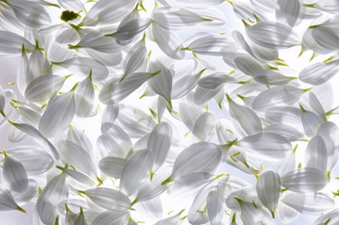 Similar image 1188000