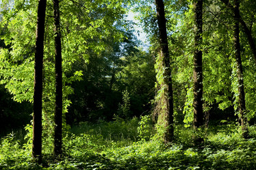 Similar image 1188014