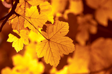 Similar image 1188017