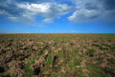 Similar image 1188023