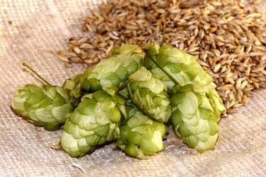 Similar image 1188024