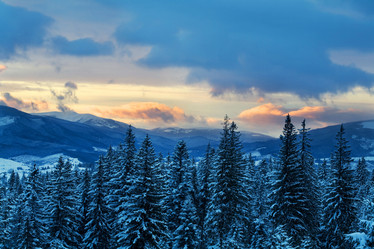 Similar image 1188035