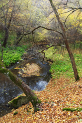 Similar image 1188069