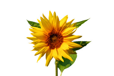 Similar image 1188070