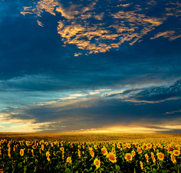 Similar image 1188083