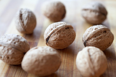 Similar image 1188085