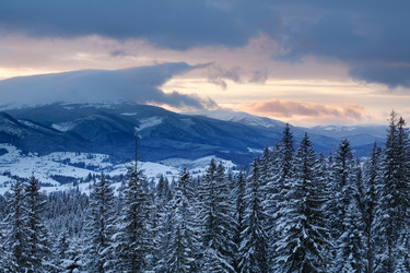 Similar image 1188087