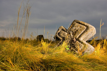 Similar image 1188103