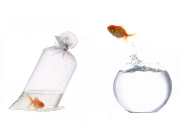 Similar image 1188105