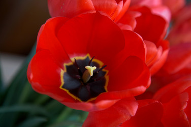 Similar image 1188116