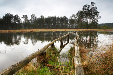 Similar image 1188120