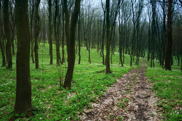 Similar image 1188127