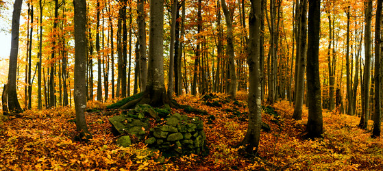 Similar image 1188133