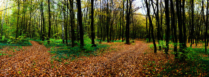 Similar image 1188136