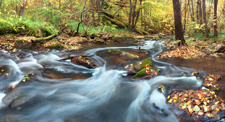 Similar image 1188139