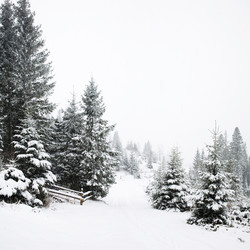 Similar image 1188143