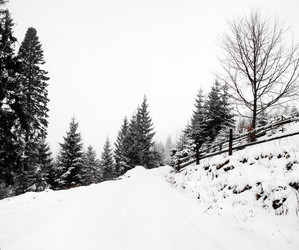 Similar image 1188144