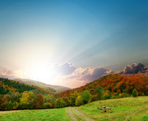 Similar image 1188146