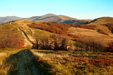 Similar image 1188164