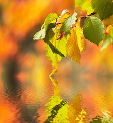 Similar image 1188166