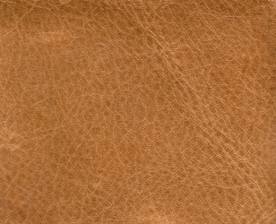 Similar image 1188232