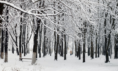 Similar image 1188235