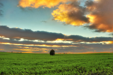 Similar image 1188238