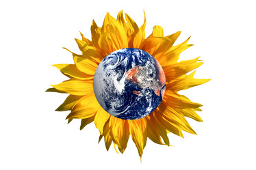 Similar image 1188240