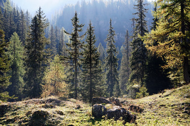 Similar image 1188242