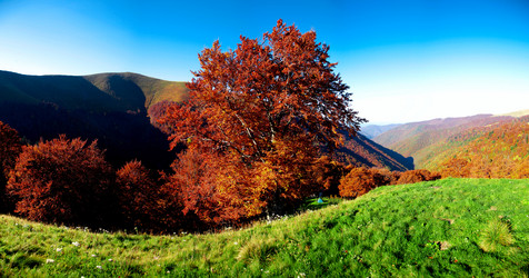 Similar image 1188243