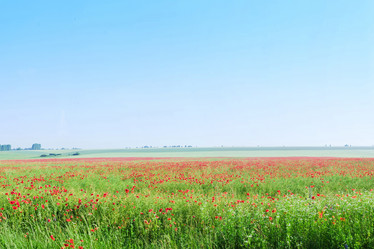 Similar image 1188245