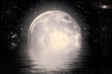 Similar image 1188330