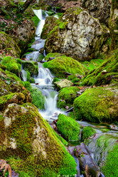 Similar image 1188477