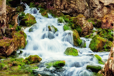 Similar image 1188478