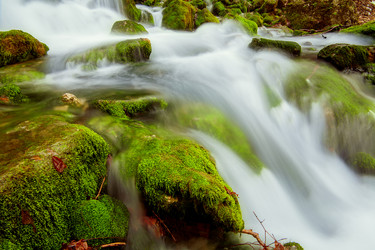 Similar image 1188480